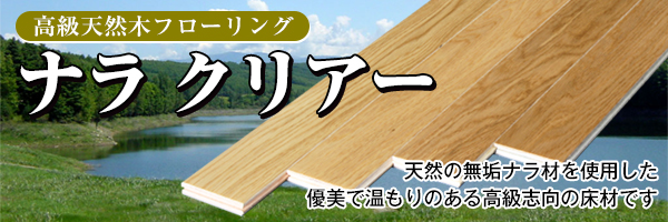 ナラクリアーイメージ