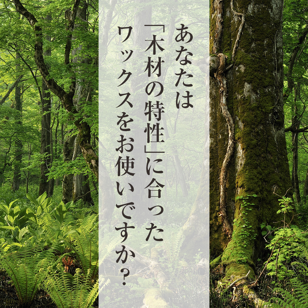 あなたは「木材の特性に合ったワックスをお使いですか？