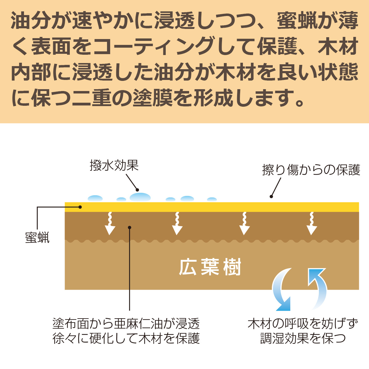 油分が速やかに浸透しつつ、蜜蝋が薄く表面をコーティングして保護、木材内部に浸透した油分が木材を良い状態に保つ二重の塗膜を形成します。