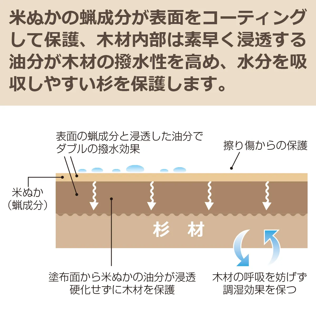 米ぬかの蝋成分が表面をコーティングして保護、木材内部は素早く浸透する油分が木材の撥水性を高め、水分を吸収しやすい杉を保護します。表面の蝋成分と浸透した油分でダブルの撥水効果、擦り傷からの保護、硬化せずに木材を保護、木材の呼吸を妨げず調湿効果を保つなどの特長があります。