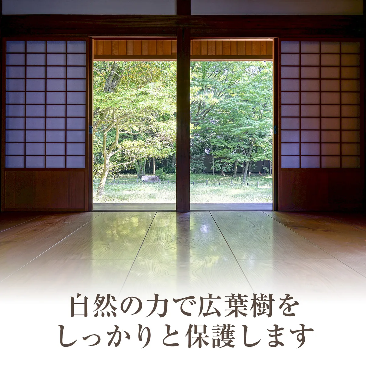 蜜蝋と亜麻仁油で広葉樹を保護