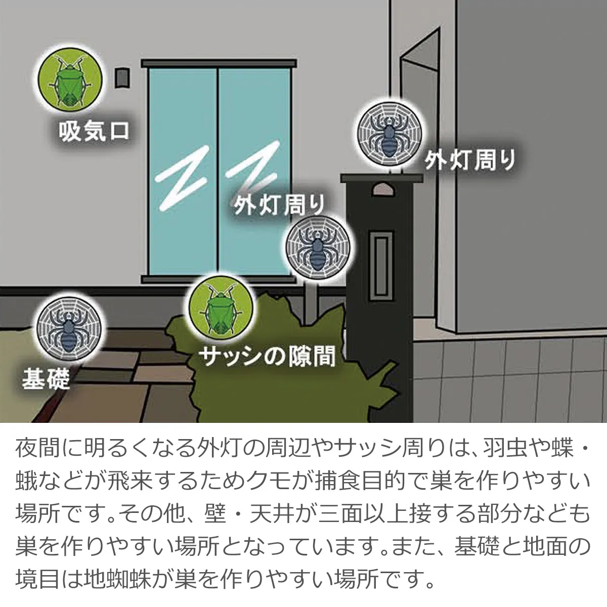 夜間に明るくなる外灯周辺やサッシ周りは羽虫などが飛来するためクモが巣を作りやすい場所です。壁・天井が三面以上接する部分や、基礎と地面の境目(地蜘蛛)も巣を作りやすい場所です。(図示:吸気口、外灯周り、サッシの隙間、基礎)