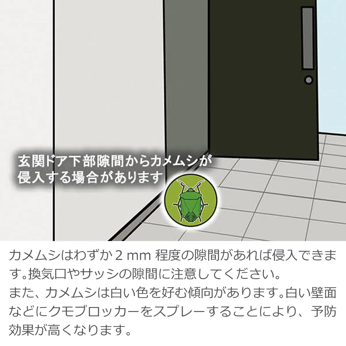 玄関ドア下部隙間からカメムシが侵入する場合があります。カメムシはわずか2mm程度の隙間があれば侵入できます。換気口やサッシの隙間に注意してください。また、カメムシは白い色を好む傾向があります。白い壁面などにクモブロッカーをスプレーすることにより、予防効果が高くなります。
