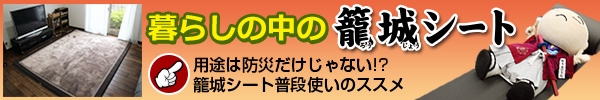 暮らしの中の籠城シート～普段使いの防災用品～