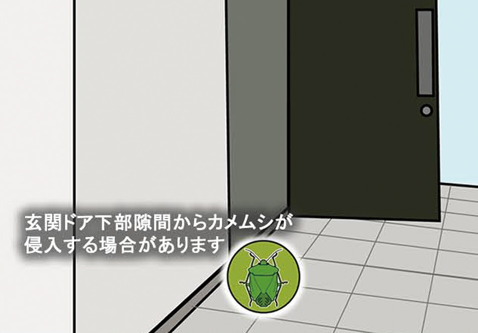 ¸¼´Ø¥É¥¢²¼Éô·ä´Ö¤«¤é¥«¥á¥à¥·¤¬¿¯Æþ¤¹¤ë¾ì¹ç¤¬¤¢¤ê¤Þ¤¹